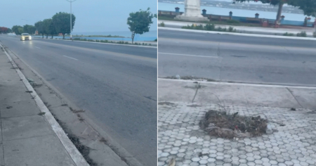 "Se va adueñando de los lugares más lindos que tiene nuestra provincia": Joven lamenta estado de la basura en Matanzas
