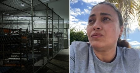Cubano es detenido en Alligator Alcatraz tras presentarse ante ICE: "Los tratan como perros"