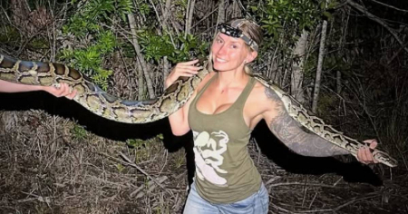 Florida premia con 25.000 dólares a los ganadores del Desafío de la Pitón 2025