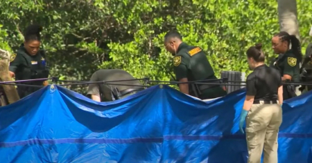 Adolescente de 15 años asesina a su hermano y lanza el cuerpo a un canal de Florida