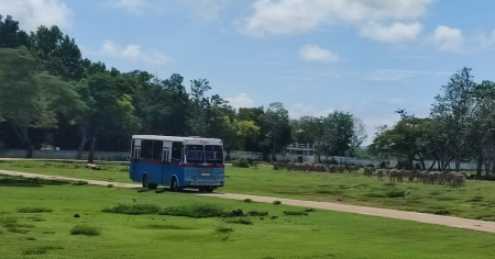 El Zoológico Nacional cierra por mantenimiento y recuperación
