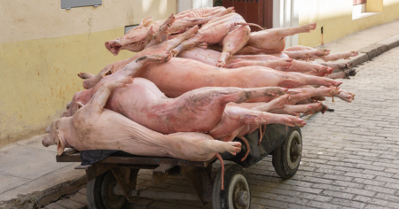 Directivos señalados como culpables de pérdida de más de 200 kilos de alimentos en Las Tunas