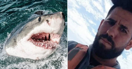 El héroe de Sandino: Médico cubano salva a pescador atacado por un tiburón en altamar