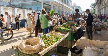 Hasta 16 mil pesos de multa: Régimen endurece controles en mercados agropecuarios de La Habana