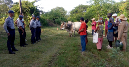 Cuba quiere liderar la ganadería sostenible en América Latina… sin vacas ni pastos