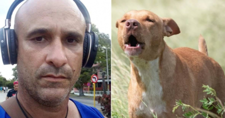 Cubano genera polémica tras comparar abandono de perro en Bayamo con silencio ante los presos políticos