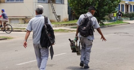 El MINSAP reporta más de 20 mil casos de chikungunya en Cuba