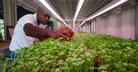 Hasta 40 mil dólares podrán recibir MiPymes y cooperativas agroalimentarias cubanas en nueva convocatoria internacional