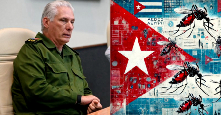 Régimen admite descontrol de arbovirosis en Cuba, pero responde con consignas y propaganda