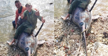 Pescadores cubanos capturan pez espada enorme