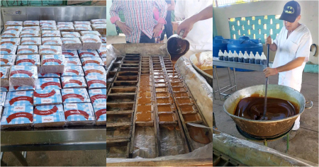 Paradojas del “desarrollo” sin insumos: Matanzas alista fábrica de dulces mientras falta azúcar para la canasta básica