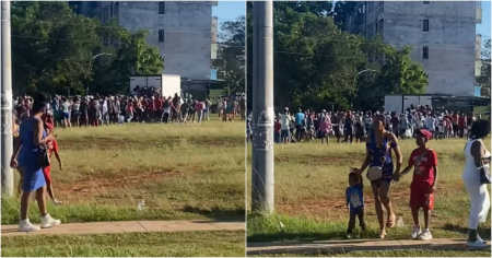 “Un pueblo entero detrás de un camión”: Cola multitudinaria en Alamar para comprar arroz