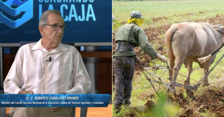 “No hay economía para una solución de país”: la TV oficial admite que no hay salida nacional a la crisis agropecuaria en Cuba