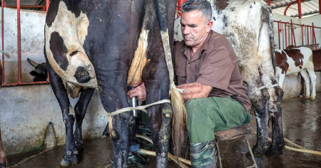 Cubadebate sale en defensa del diputado que defendió a las mipymes y criticó el colapso productivo del país