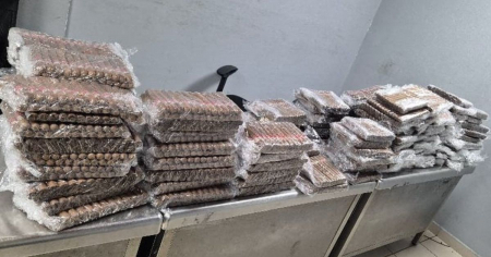 Detectan intento de sacar más de 3.800 tabacos hacia Panamá desde La Habana
