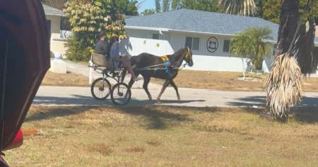 “Lehigh Acres ya es Camagüey”: Cubanos reaccionan a coche tirado por caballo en Florida