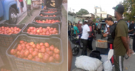 ¿“Oferta variada” en feria de Guantánamo? La realidad cuenta otra historia