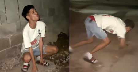 "Llegaron los therians a Cuba": Video de jóvenes cubanos muestra que llegó la nueva tendencia viral a la isla