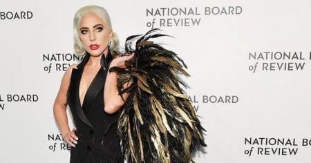 Arrestan en Miami a hombre que amenazó a Lady Gaga en Instagram