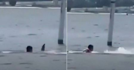 Captan escalofriante ataque de tiburón a joven en una base naval de Florida