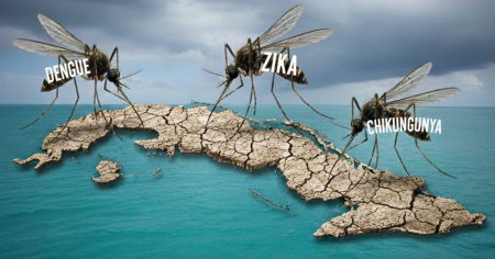 Minsap alerta sobre posible epidemia de dengue mientras basura, salideros y apagones favorecen la proliferación del mosquito