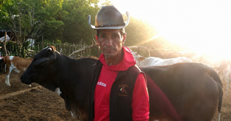 200 mil pesos de multa a campesino cubano porque su ganado está creciendo