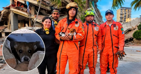 Rescatan a Milo, el perro que sobrevivió 12 días bajo los escombros de un derrumbe en Venezuela