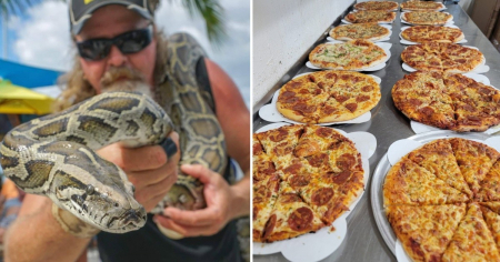 Restaurante del sur de Florida lanza «atractiva» oferta: «Cambia una pitón por una pizza»