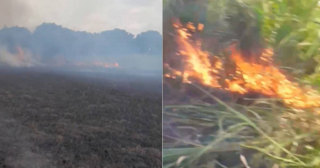 Incendian una finca en Cuba y el dueño culpa a la delincuencia que azota el campo: «La peor plaga son los ladrones»
