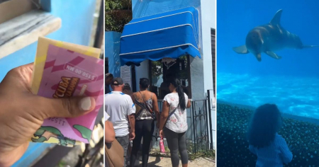 Pan con lechón a mil pesos y brochetas a 1,600: los precios del Acuario Nacional de Cuba