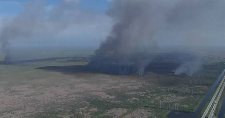 Florida arde: Casi 50 incendios arrasan más de 10,000 hectáreas por la intensa sequía