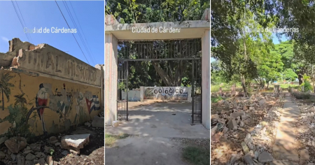 Joven muestra las ruinas del zoológico de Cárdenas: «Se apagó un lugar que guarda recuerdos y sueños»