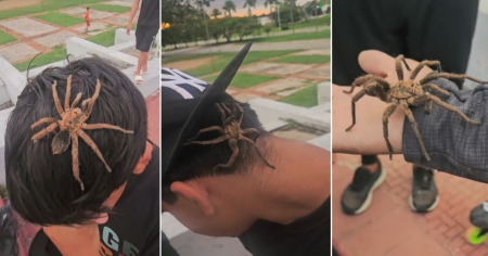 Cubano enfrenta uno de sus mayores miedos en Camagüey: «Nunca es tarde para superar tus traumas»