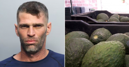 Arrestan a cubano de Hialeah acusado de robar 142 aguacates en una finca de Miami-Dade