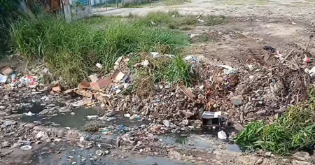 Lo que quedó después de «recoger» la basura en San Miguel del Padrón