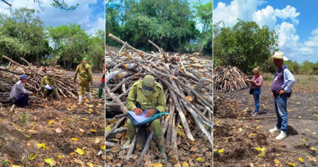 Autoridades decomisan carbón a un trabajador forestal en Camagüey y lo dejan sin sustento para su familia
