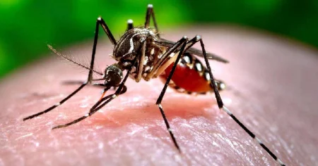 Tres municipios complican la situación epidemiológica de Las Tunas y la fumigación avanza con limitaciones