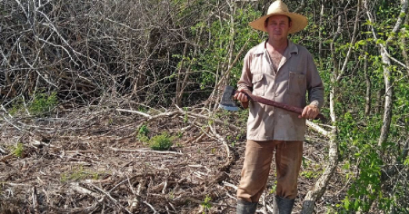 ¿Cuándo habrá más comida en Cuba? Viceministro de Agricultura dice que sería “irresponsable” dar un plazo exacto