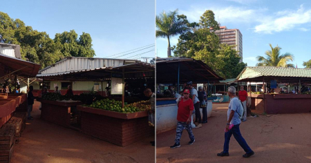 ¿Y los inspectores dónde están? Denuncian cobros irregulares y falsificación de Transfermóvil en agromercado de Tulipán, en La Habana
