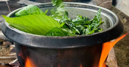 Cocinar «Uña de Dios»: crónica sobre «el nivel de degradación, de miseria, de pena de nuestros campesinos»