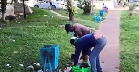 Trabajadores de El Rampeño recogen basura en El Vedado con las manos desprotegidas y sin herramientas básicas