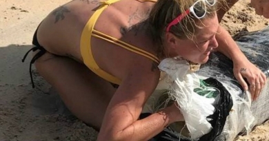 Buscan a una mujer que encontró un paquete de marihuana en la playa tras el huracán