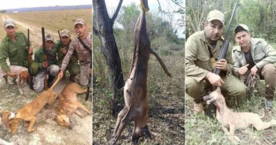 “Al parecer, los permisos de cacería se regalan para darle el placer a algunos de utilizar sus armas alegando que están