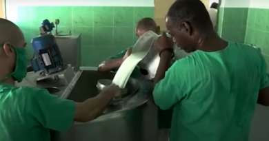 Empresa privada cubana produce derivados lácteos con leche de búfala