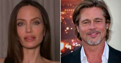 Angelina Jolie acusa a Brad Pitt de agredir a sus hijos