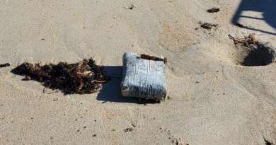 Patrulla Fronteriza encontró más de 170 libras de cocaína en playas de Florida en octubre