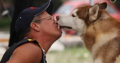 Más de 200 perros en Exposición Canina Internacional en La Habana