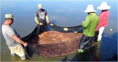 Incumplen plan de captura de pescado en embalses de Sancti Spíritus
