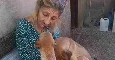 Animalista cubana celebra recuperación de dos perros rescatados