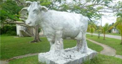 Piden restaurar escultura de la famosa vaca cubana Ubre Blanca